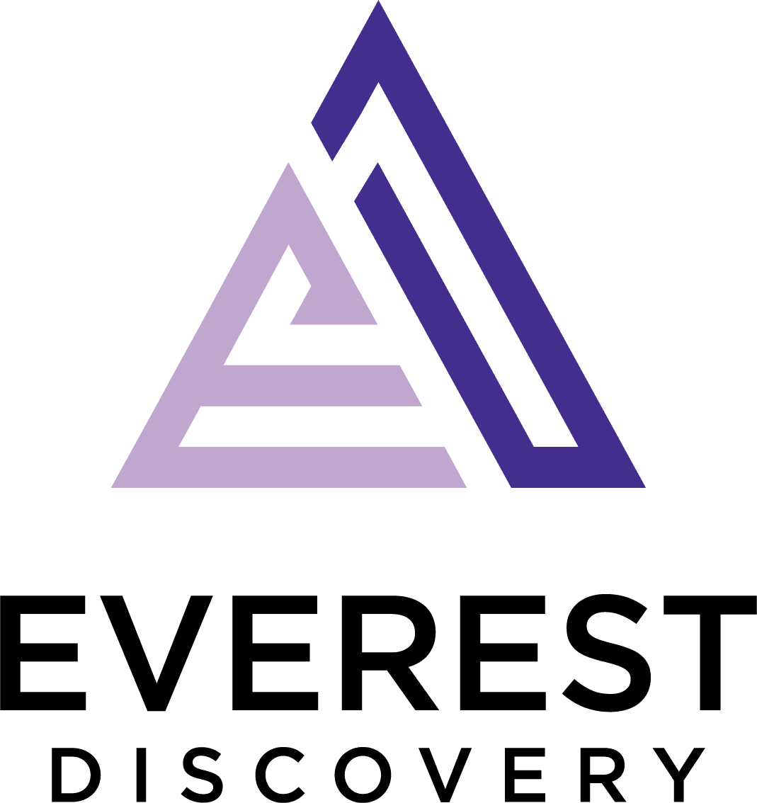 Everest Discovery logo with purple triangular design.